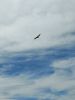 20220928_121353.thumb.jpg.82fc5db1fcd24f146d43d9c718416418.jpg