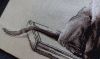 20221009_174626.thumb.jpg.ee3697495d3e64ca2b918b5bed56f0e7.jpg