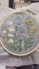 20221101_013714.thumb.jpg.bbb68be16270d4dc31ccef59cef0912e.jpg