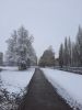 20221103_111623.thumb.jpg.451c80b326a7771d9f6286786ce8dee8.jpg