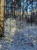 20221118_131535.thumb.jpg.fc565dbe72144f11f380c19d8bb91748.jpg