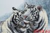 2E711168-B9B7-4230-B1ED-879A079922E5.thumb.jpeg.5d2ba8de0f37b99dbe0b1164d144fb48.jpeg