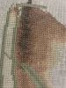 7.thumb.jpg.cabd60209cf7a19a06ec7f4cf31aaece.jpg