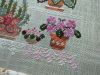 7BD51BE1-16B2-47DE-8C4A-0631D0377DF3.thumb.jpeg.04acb64ff95da702e64141dd6f2022ae.jpeg