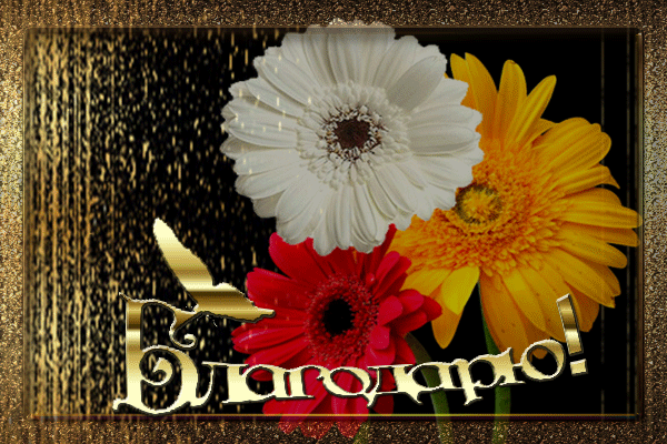 887333084.thumb.gif.0bf094db76e9ef4b96c10bb0873718a9.gif