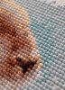 9.thumb.jpg.0d3ea50c6978e640187c80f4ff8cf6e1.jpg