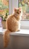 932733972_DSC_3673(2).thumb.jpg.1397f7da85f69df77590bb630f46bd81.jpg