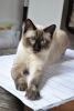 DSC_0318.thumb.JPG.d6b831a0001946ccfdf5b445f5a20c0a.JPG