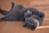 DSC_2810.thumb.JPG.9107f37965ab4a5f7844974e2180f5fd.JPG