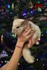 DSC_3360.thumb.JPG.eeb0b4091a66286ecdc9ee15089e5f40.JPG