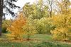 DSC_3406.thumb.JPG.8bf621cbc3d53622e74f57c9b166fb8f.JPG