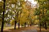 DSC_3410.thumb.JPG.86998b709e74983915dd06646fd36d2c.JPG