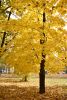 DSC_3413.thumb.JPG.fcdc37b04684dc6903ebefb9fa9359fe.JPG