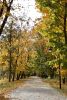 DSC_3425.thumb.JPG.c91381ed694f7a0af367f06e4e829f8d.JPG