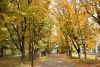 DSC_3426.thumb.JPG.7d30d2c27ba7d19bce19d885693e2714.JPG