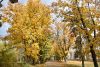 DSC_3437.thumb.JPG.e6fe413a45d405db08629568a3b869c8.JPG