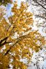 DSC_3438.thumb.JPG.16038dc9d79414f78df9a030308d6178.JPG
