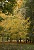 DSC_3439.thumb.JPG.867c36a058dbc7a88dc672f38e2ab1fa.JPG
