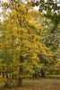 DSC_3440.thumb.JPG.6d8d90b7c53b00fb526be4e573ac6183.JPG