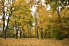 DSC_3441.thumb.JPG.727a789cc3d79bce274670b148a9de70.JPG