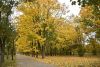 DSC_3444.thumb.JPG.a23da4f5f33d9f66f5793e1c16b7a4df.JPG