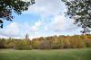 DSC_3450.thumb.JPG.85161ffb2773fc3c1557f71babe28b45.JPG