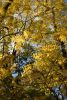 DSC_3461.thumb.JPG.a8931b93b04ba3b73a6ca401b777d43b.JPG
