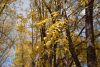DSC_3471.thumb.JPG.00409135969c4bf562a8bd2b3f8bec9a.JPG