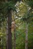 DSC_3472.thumb.JPG.72ad01c7f48d3c1f25b53a2e22c9518c.JPG
