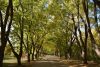 DSC_3473.thumb.JPG.242cf6e3b1704e4d3b70fae91f69531d.JPG