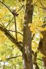 DSC_3476.thumb.JPG.bf0830ec6a9732b28d816247ada51222.JPG