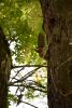 DSC_3480.thumb.JPG.c27a6560ab4cf0da8b1577c9a55e0a16.JPG
