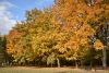 DSC_3490.thumb.JPG.06451d13205f63e89d8da96151794dc4.JPG