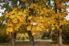 DSC_3492.thumb.JPG.bfdaddbd77901b4ffdb6e953e2ead9d2.JPG