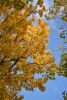 DSC_3495.thumb.JPG.673270b3b71bca40492ecf3942e46474.JPG