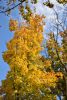DSC_3499.thumb.JPG.d3629e2e19040155c6464bc9d48c6e74.JPG