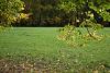 DSC_3501.thumb.JPG.2c277683ad85f5ca7b6f4e7038a2e3a1.JPG