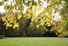 DSC_3503.thumb.JPG.a78901b09d0b11d870529963778681e7.JPG