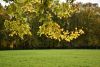 DSC_3504.thumb.JPG.0aa03665ea2b4e2545c4ea9c96309d3d.JPG