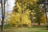 DSC_3512.thumb.JPG.9cc2be36372e8717618e4e6b724e0826.JPG