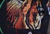 DSC_3578.thumb.JPG.19a63b4e4f4202a022fb2176a42650c1.JPG?1668143458340