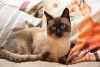 DSC_3649.thumb.JPG.56ab6fa1ad045b204eafc4fcdd21cdf4.JPG