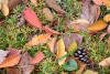 DSC_3698.thumb.JPG.646beedb9614e47be823607590fe6e63.JPG?1669317933040