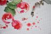 DSC_3733.thumb.JPG.d49e0102dc5cf5a2446e8f45cea163de.JPG?1669325942926