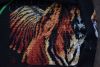 DSC_3741.thumb.JPG.ca8f1033d866539b496706c22fc2d5af.JPG