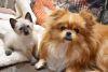 DSC_4754.thumb.JPG.70527bfae3d17e8938f236161b01d815.JPG