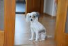 DSC_8274.thumb.JPG.561ee824269e9984527626c421f935c4.JPG