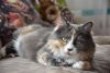 DSC_8489.thumb.JPG.abcb7ef8401460c4767a67a1689e540f.JPG