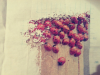 E3B15049-7344-40BB-99BD-2A325C3B01C4.png