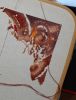 IMG-20220106-WA0001.thumb.jpg.3b42c6815029c9e83ce410e0cd189b6e.jpg
